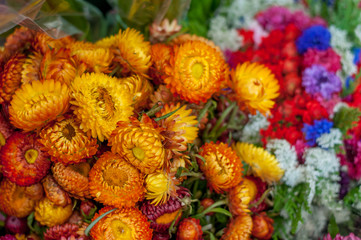Fototapeta premium flores mexicanas dia de muertos nube cempasuchil orquidea