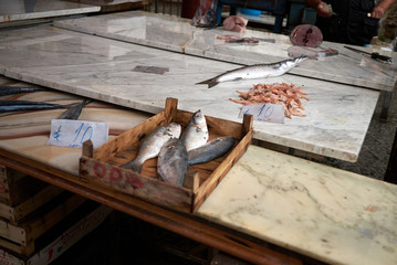 Palermo, Italy - September 07, 2018 : Fishmonger kiosk in Ballaro market