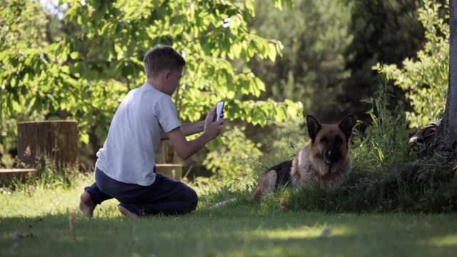 young boy taking picture of his dog posing german shepherd with a smart phone in the nature, green background 