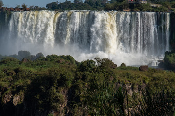 Iguazu falls and Atlantic rainforest in sunlight, Misiones, Argentina, South America