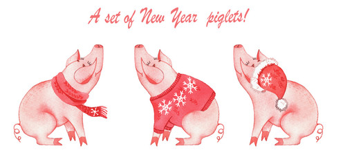 Set with New Year piglets in watercolor style. Christmas. Postcards.