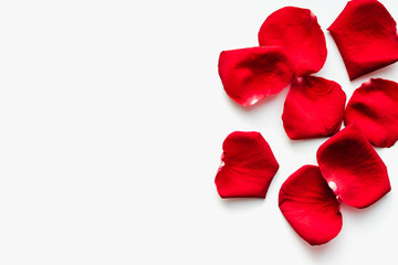 red rose petals, red petals on white background