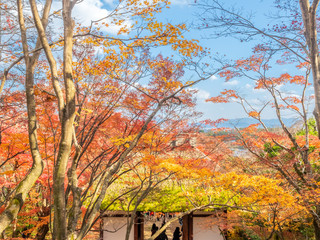 Japanese style pavilion with colorful autumn forest