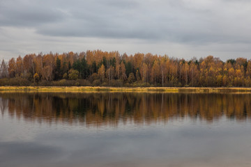 Scenic view of autumn river.