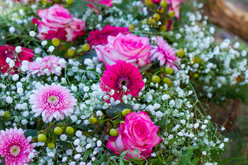 roses background