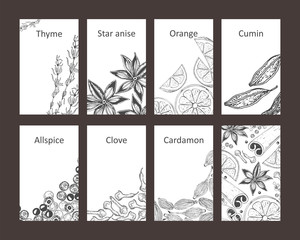 Set of cards with spices. Hand-drawn thyme, anise, cumin, allspice, cardamom, cinnamon, cloves, orange. Vector illustration. Isolated.