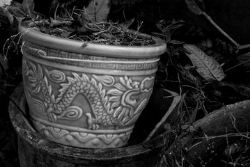 Ancient dragon pot dump in backyard with grey scale color