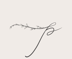 Vector Hand Drawn floral p monogram and logo