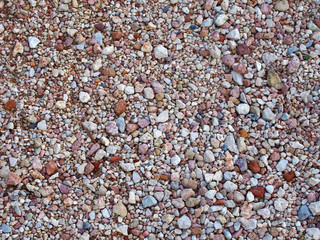 detailed decorative beach pebble background in different shapes and colors