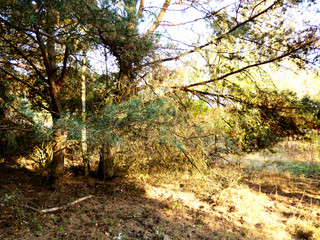 Piękne kolory jesieni.