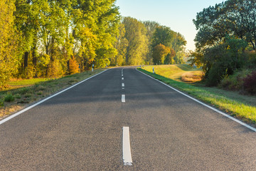 Herbstliche Landstraße am Rhein frontal
