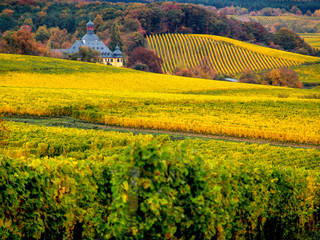 Weinland Rheingau