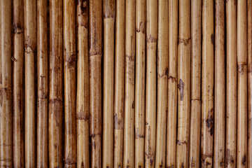 the nature background from the old brown rattan tree drying with the sunlight