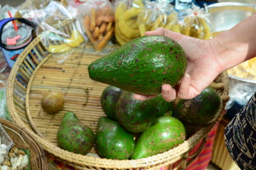 a hand of woman holding  fresh green avocado fruit  at the market
