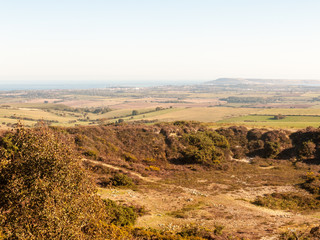hardy monument tall building old special england dorset black down countryside nature landscape