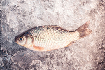 Freshly caught fish on Winter Nature background. The frozen water. Abstract Arctic ice texture. winter fishing, seafood, fish and healthy food.