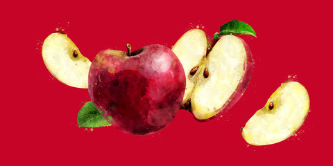 Red Apple on dark red background. Watercolor illustration