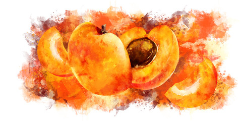 Apricot on white background. Watercolor hand-painted illustration