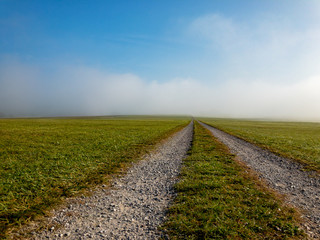 path in the field leading into fog