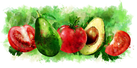 Avocado and tomato on white background. Watercolor illustration