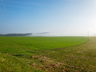 Fototapeta na wymiar green field on a foggy day