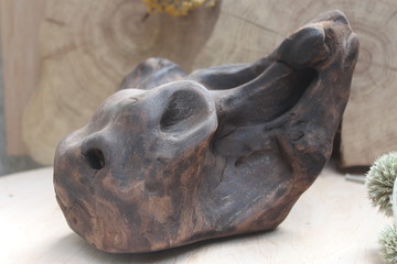 Brown burned driftwood piece in a shape of bull scull