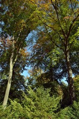 Das Ende eines Sommers