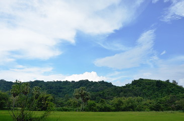 Fototapeta na wymiar landscape of mountain and paddy field on sunny day