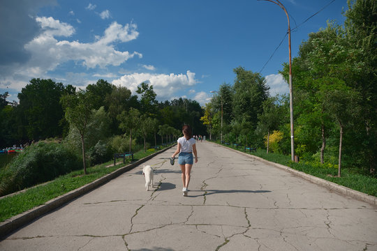Back view woman walking her dog in the park