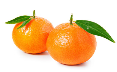 Tangerine or clementine isolated on white