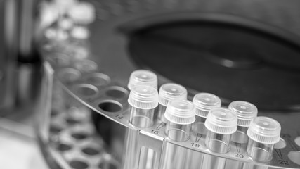 Testing Tube In Laboratory 