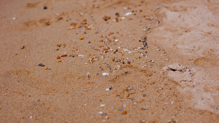 texture of sand