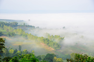 sunrise with mist at the mountain view point