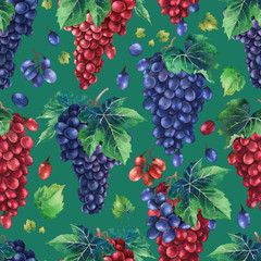 Watercolor pattern of red and blue grapes bunches