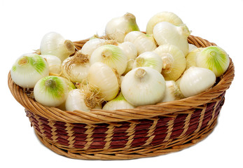 Cipolline nel cesto su fondo bianco