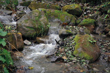 Small waterfall on mountain stream in forest.