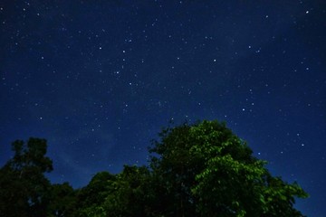 Fototapeta premium Dark sky with stars