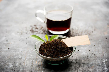 Black Tea Powder or dry dust with or without green leaf and served hot chai in a cup