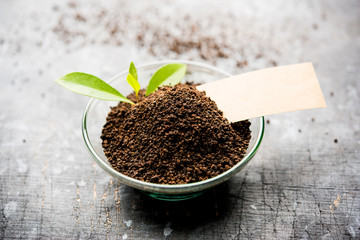 Black Tea Powder or dry dust with or without green leaf and served hot chai in a cup
