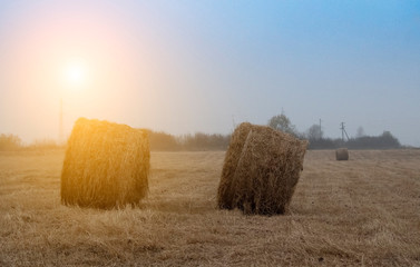 straw bales