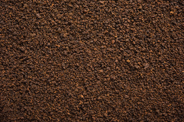 Black Tea Powder or dry dust with or without green leaf and served hot chai in a cup