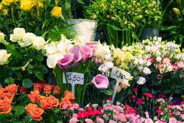 Obraz na płótnie Canvas beautiful colorful flowers in flower shop