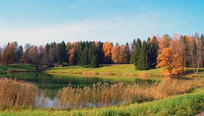 Autumn forest on the pond in Pavlovsk Park.