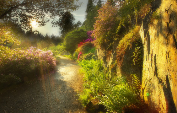 Way in the well-tended garden with color flowers and the sun on background, version with a soft filter