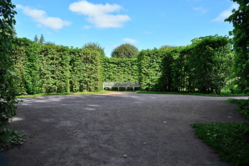 Empty white bench in the shade of a high green hedge near a ground track in a beautiful city Park at sunny summer day