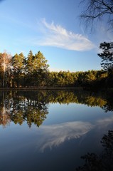 Obraz premium Spiegelung am Weiher