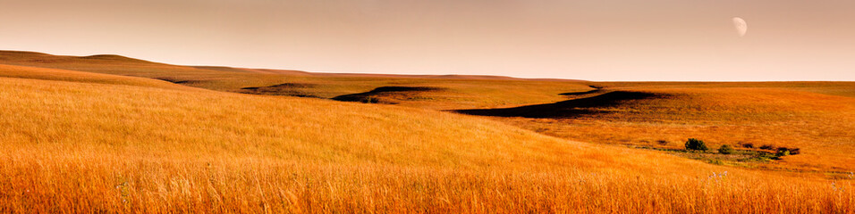 Naklejka premium Beautiful Kansas Tallgrass Prairie Preserve Panoramic Scene with moon
