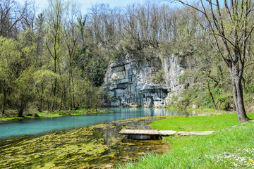 Obraz premium Krupa Spring (Izvir Krupa) in Bela Krajina, southern Slovenia, is a big karst spring below rock wall. It is protected as natural heritage and special habitat of water spices.