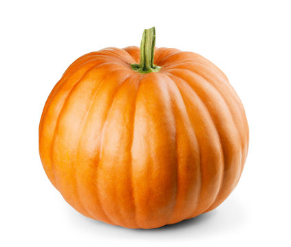 Pumpkin Isolated On White Background