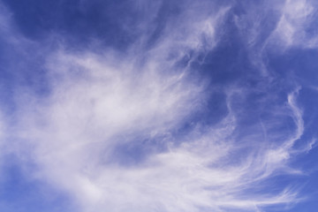 Beautiful white Cirrus clouds on a blue sky
